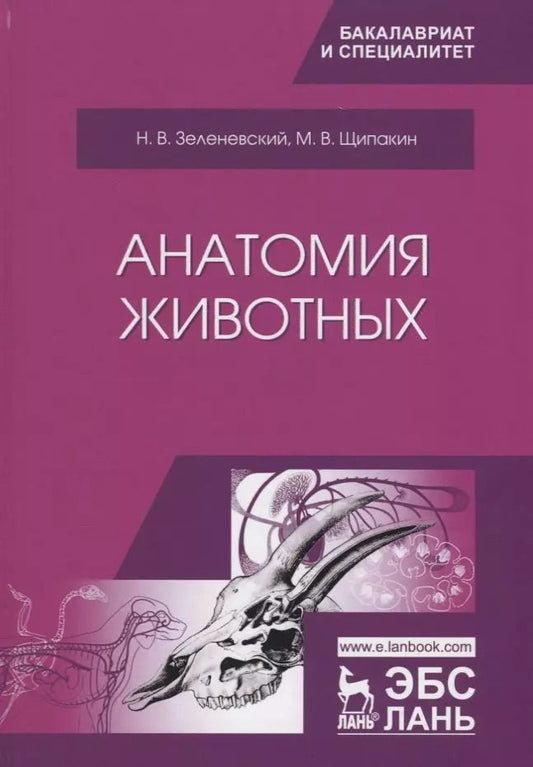 Обложка книги "Зеленевский, Щипакин: Анатомия животных. Учебник"