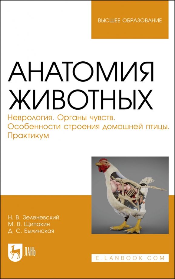 Обложка книги "Зеленевский, Щипакин, Былинская: Анатомия животных. Неврология. Особенности строения домашней птицы. Практикум"