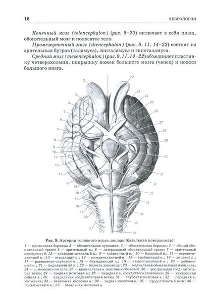 Фотография книги "Зеленевский, Щипакин, Былинская: Анатомия животных. Неврология. Особенности строения домашней птицы. Практикум"