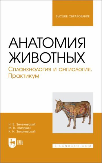 Обложка книги "Зеленевский, Щипакин, Зеленевский: Анатомия животных. Спланхнология и ангиология. Практикум. Учебное пособие для вузов"