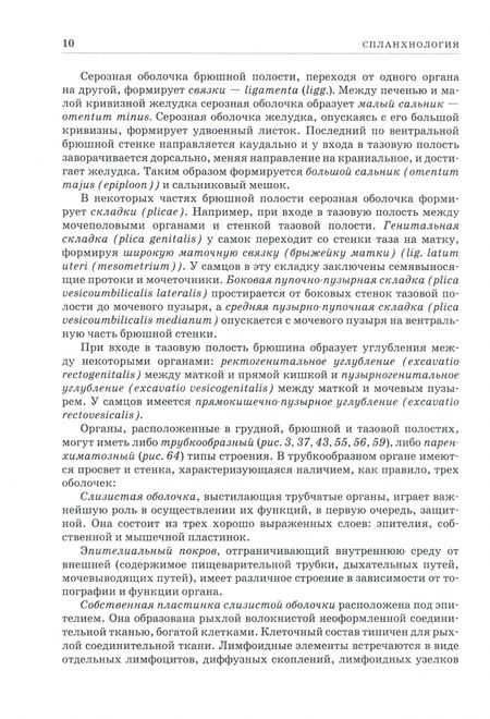 Фотография книги "Зеленевский, Щипакин, Зеленевский: Анатомия животных. Спланхнология и ангиология. Практикум. Учебное пособие для вузов"