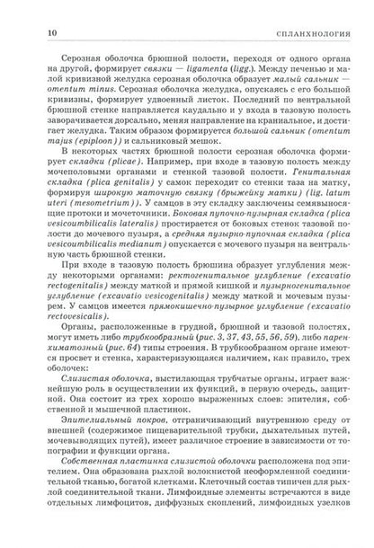 Фотография книги "Зеленевский, Щипакин, Зеленевский: Анатомия животных. Спланхнология и ангиология. Практикум. Учебное пособие для вузов"