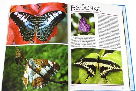 Фотография книги "Жан-Батист Панафье: Мир животных. Открой для себя удивительный мир животных!"
