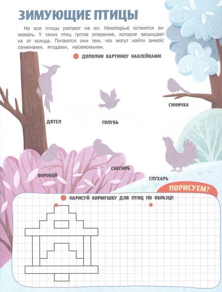 Фотография книги "Жанна Борода: Животные России: книжка с наклейками"