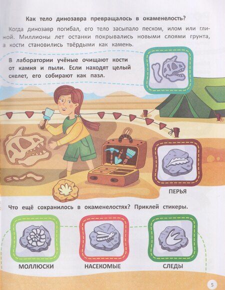 Фотография книги "Жанна Жамойдина: Динозавры: книжка со стикерами"