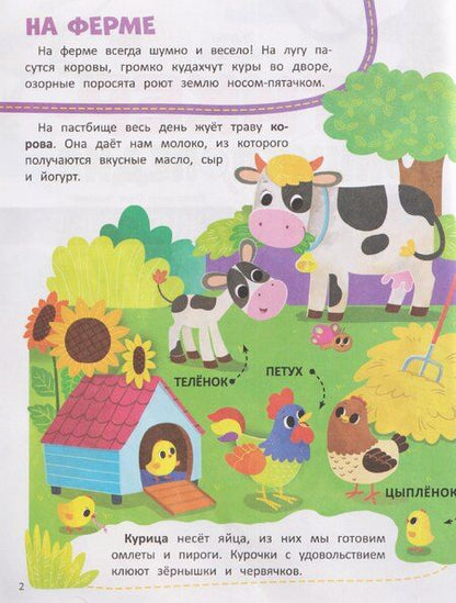 Фотография книги "Жанна Жамойдина: Животные: книжка со стикерами"