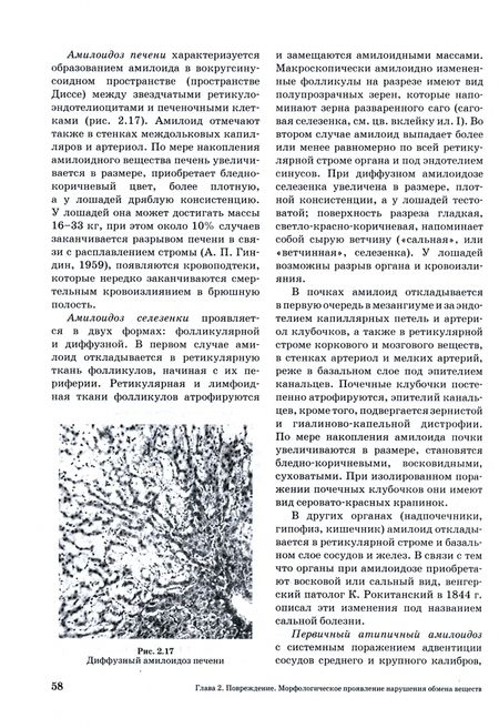 Фотография книги "Жаров: Патологическая анатомия животных. Учебник для вузов"