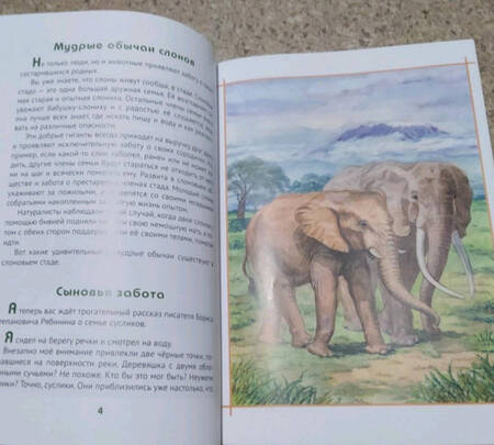 Фотография книги "Жданова: Верность животных своей семье"