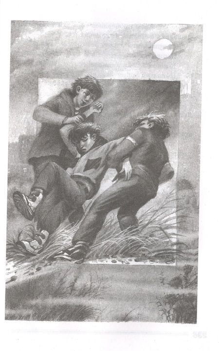 Фотография книги "Железников: Чучело"