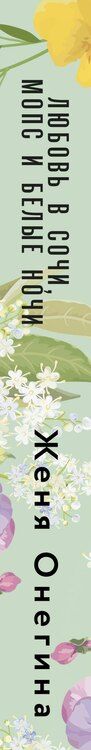 Фотография книги "Женя Онегина: Любовь в Сочи, мопс и белые ночи"