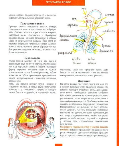 Фотография книги "Жислен Боду: Фабрика музыки"