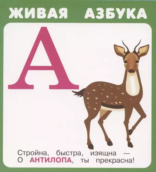Обложка книги "Живая азбука. Набор карточек"
