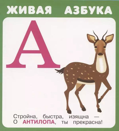 Обложка книги "Живая азбука. Набор карточек"