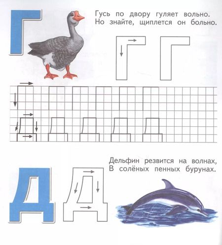 Фотография книги "Живая азбука. Прописи. Печатные буквы"