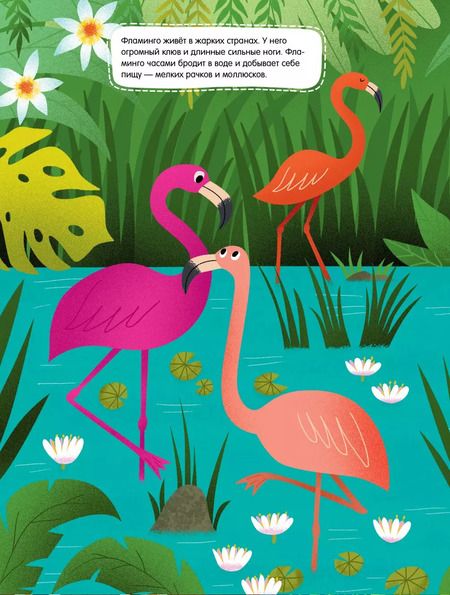 Фотография книги "Животные. 55 наклеек"