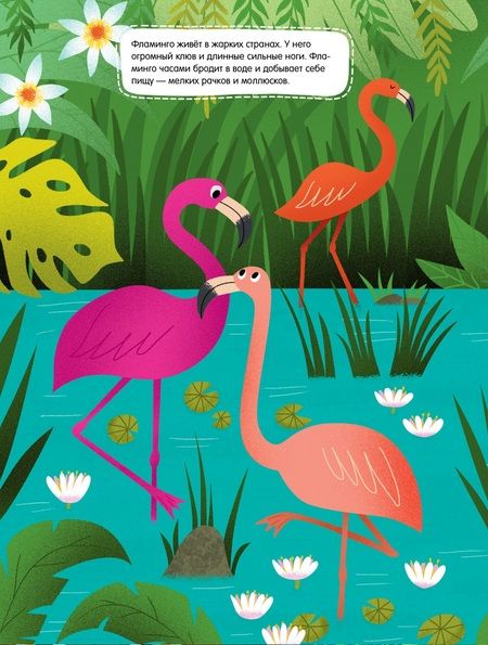 Фотография книги "Животные. 55 наклеек"