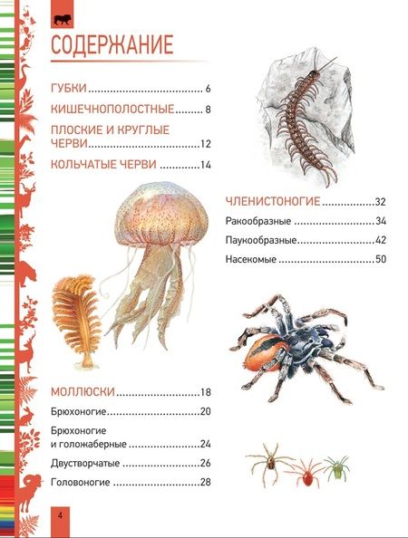 Фотография книги "Животные. Большая энциклопедия"