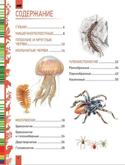 Фотография книги "Животные. Большая энциклопедия"