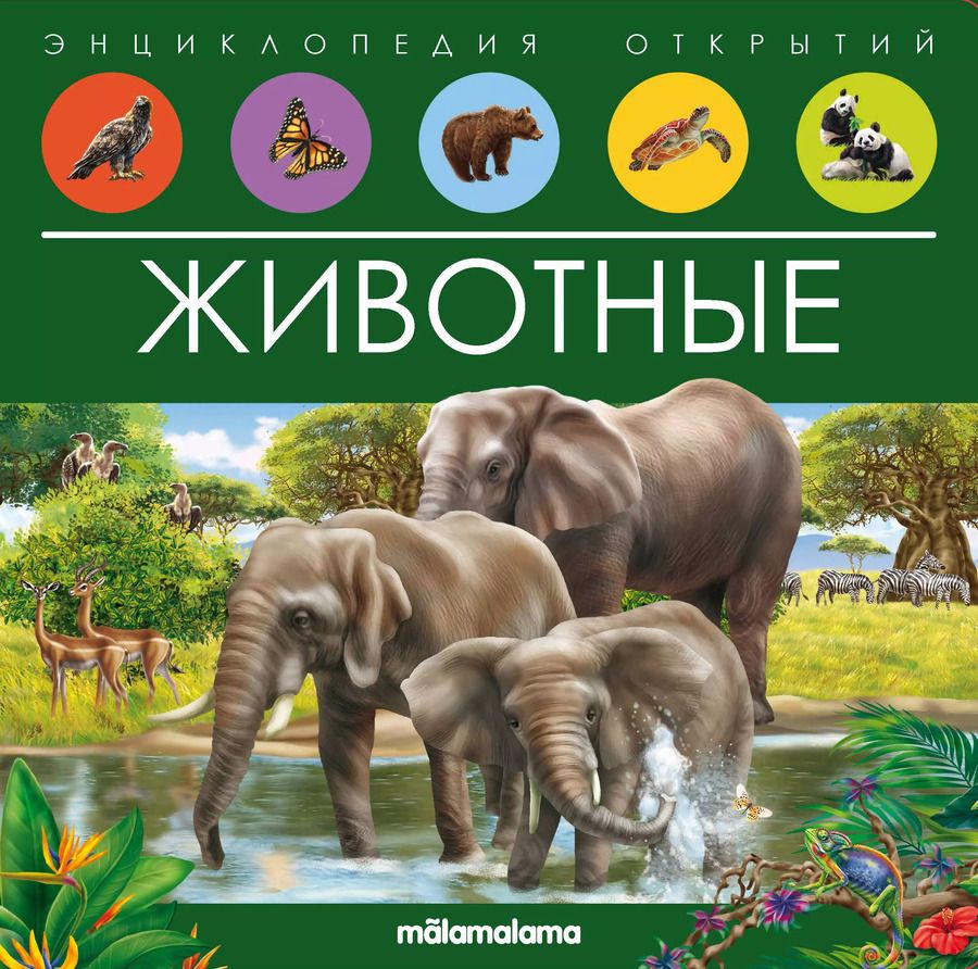 Обложка книги "Животные. Книжка-панорамка"