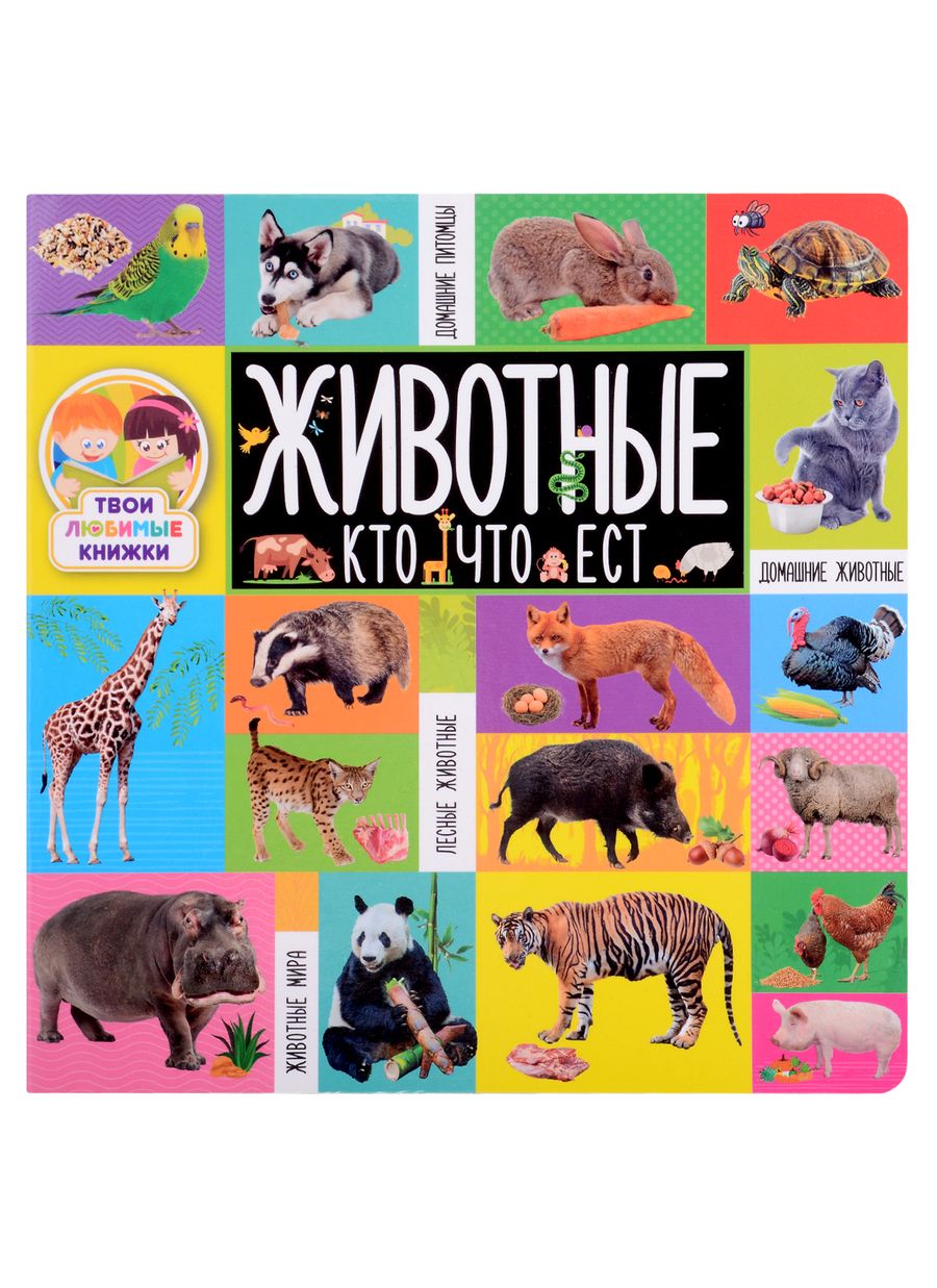 Обложка книги "Животные. Кто что ест"