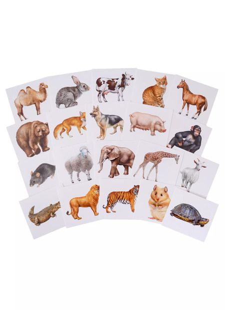 Фотография книги "Запоминай английские слова. Animals / Животные. Набор из 20 карточек"