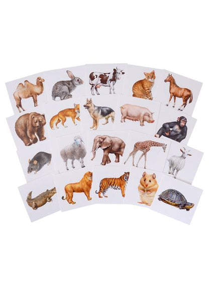 Фотография книги "Запоминай английские слова. Animals / Животные. Набор из 20 карточек"