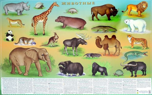 Обложка книги "Животные. Настольное издание"