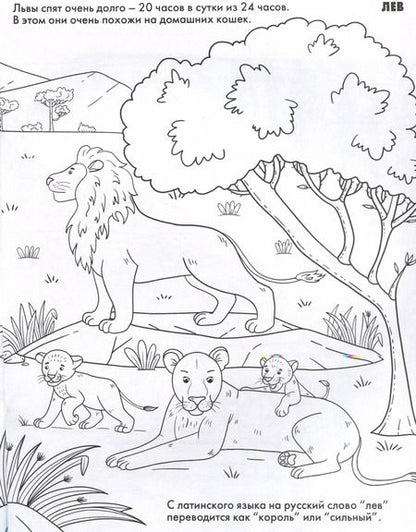 Фотография книги "Животные. Развивающие раскраски"