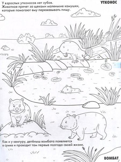 Фотография книги "Животные. Развивающие раскраски"