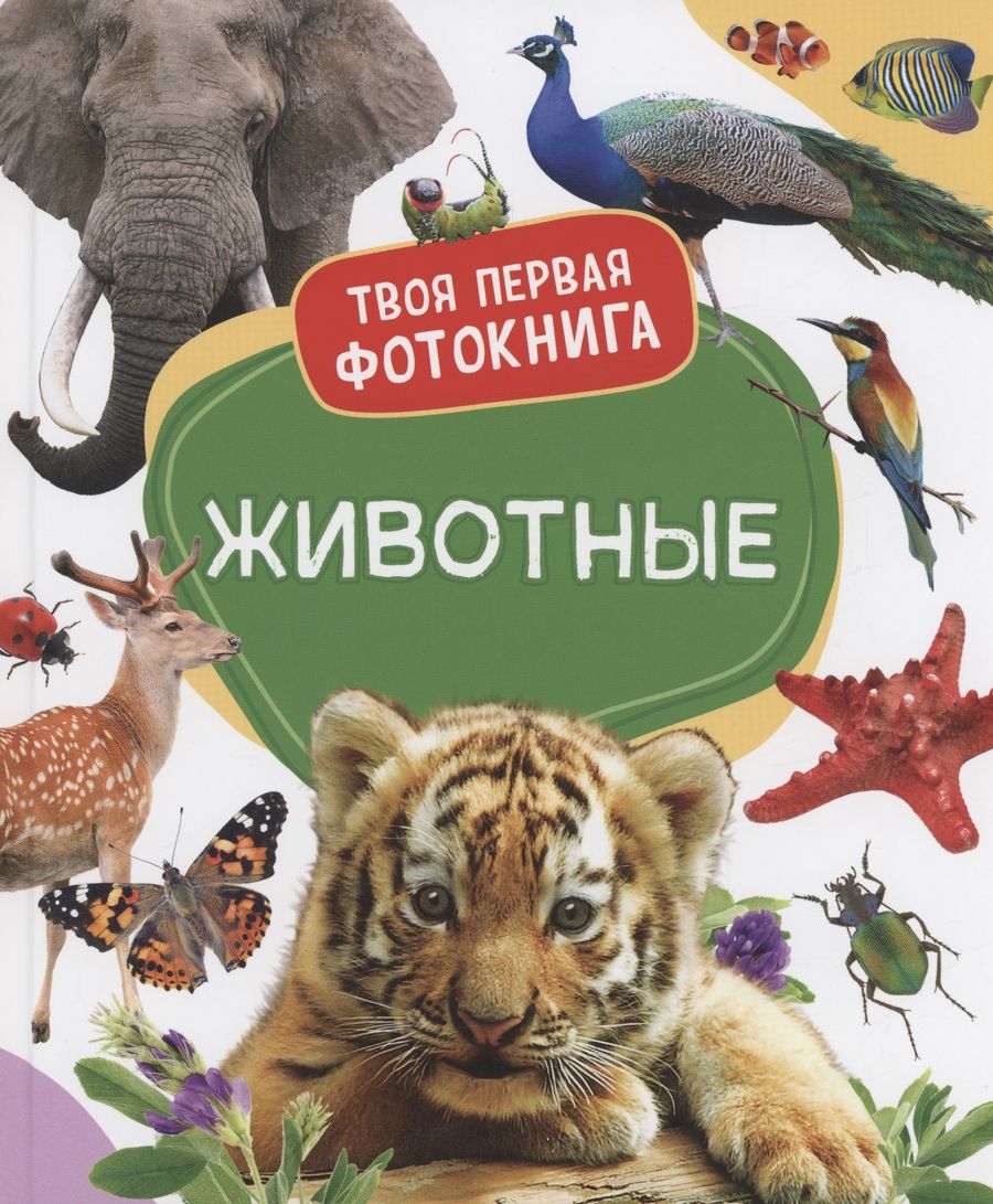 Обложка книги "Животные. Твоя первая фотокнига"