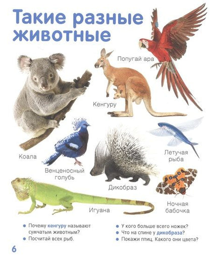 Фотография книги "Животные. Твоя первая фотокнига"