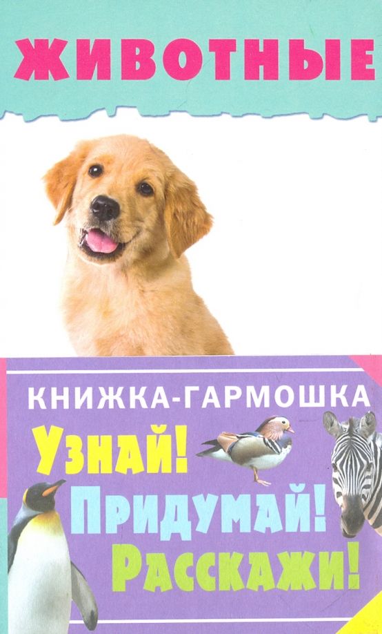 Обложка книги "Животные"