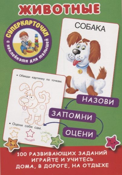 Обложка книги "Животные"