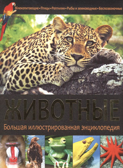 Обложка книги "Животные"