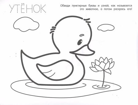 Фотография книги "Животные"