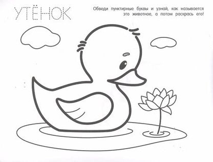 Фотография книги "Животные"