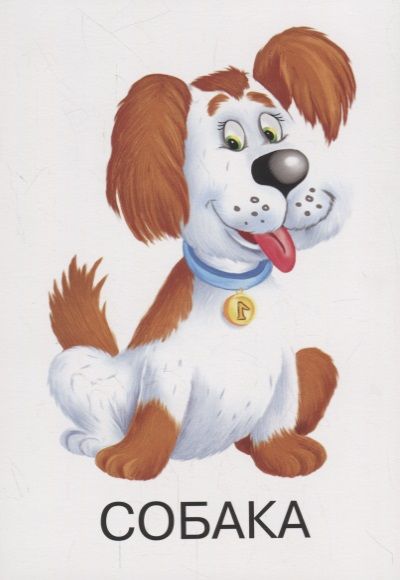 Фотография книги "Животные"