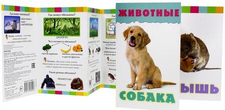 Фотография книги "Животные"