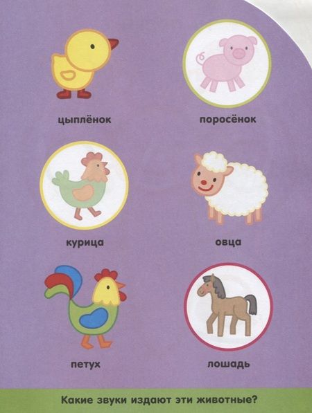 Фотография книги "Животные"