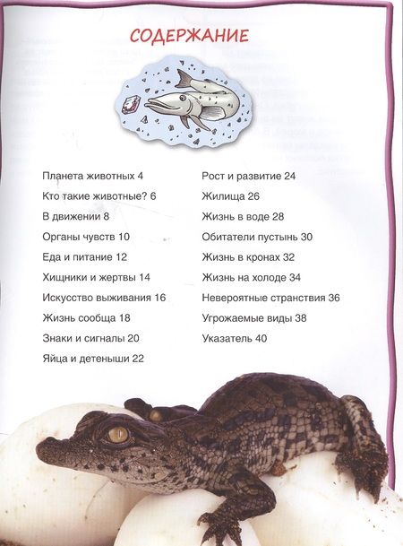 Фотография книги "Животные"