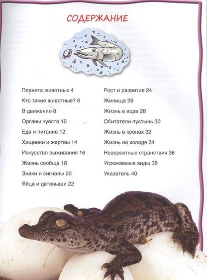 Фотография книги "Животные"