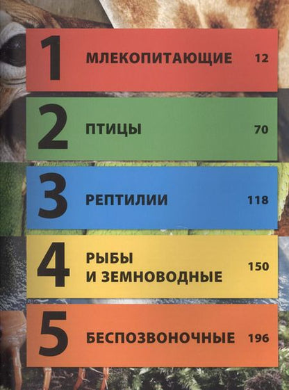 Фотография книги "Животные"