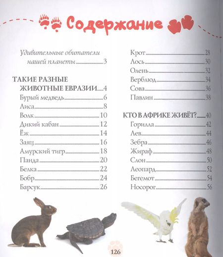 Фотография книги "Животные"