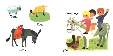 Фотография книги "Животные"