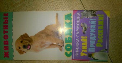 Фотография книги "Животные"