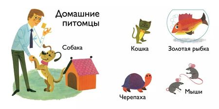 Фотография книги "Животные"