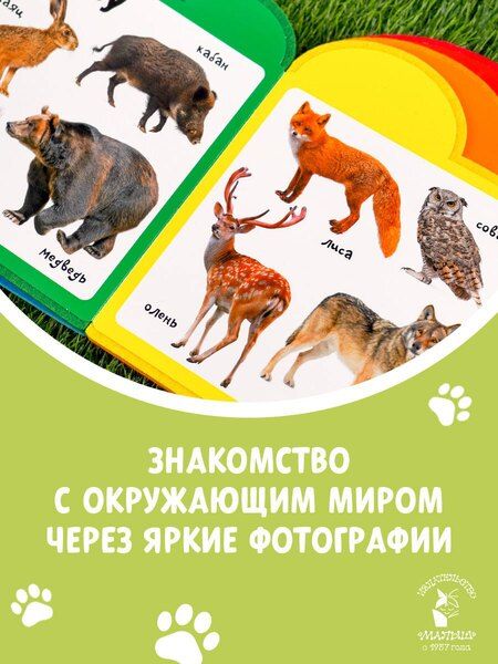Фотография книги "Животные"