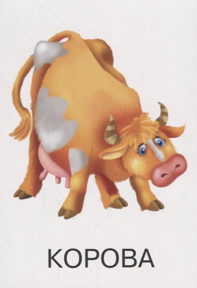 Фотография книги "Животные"