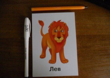 Фотография книги "Животные"