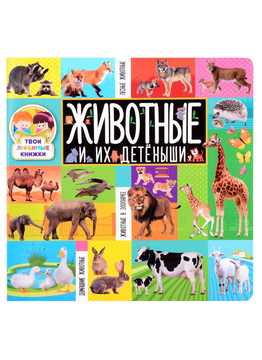 Обложка книги "Животные и их детёныши"